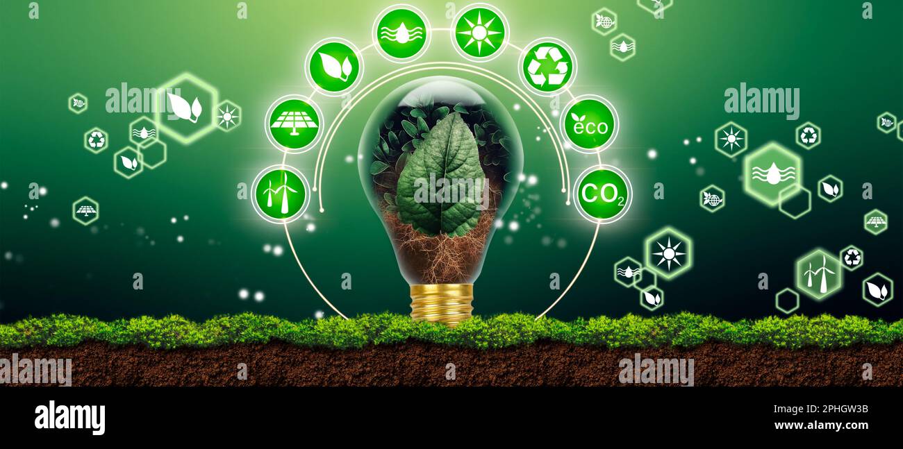 Bulb as energy efficiency concept. Renewable energy by 2050 Carbon ...