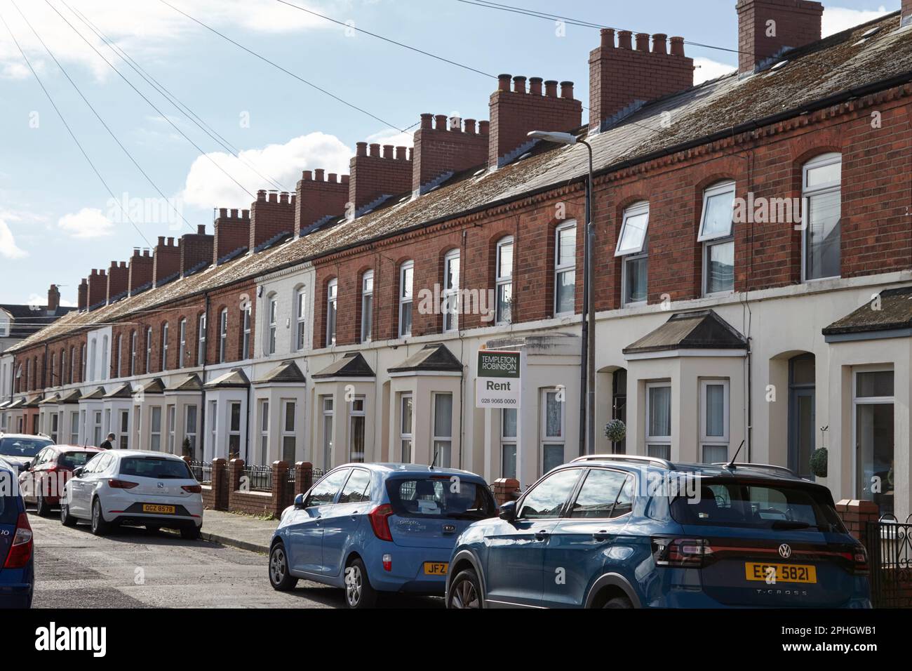 2 bed terraced houses belmont avenue west strandtown, east belfast