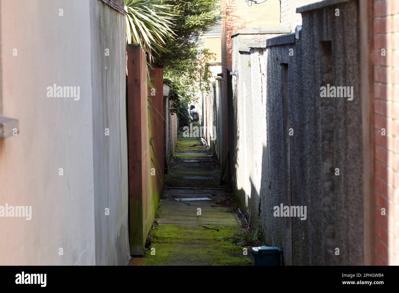 old narrow back entry between terraced victorian houses strandtown
