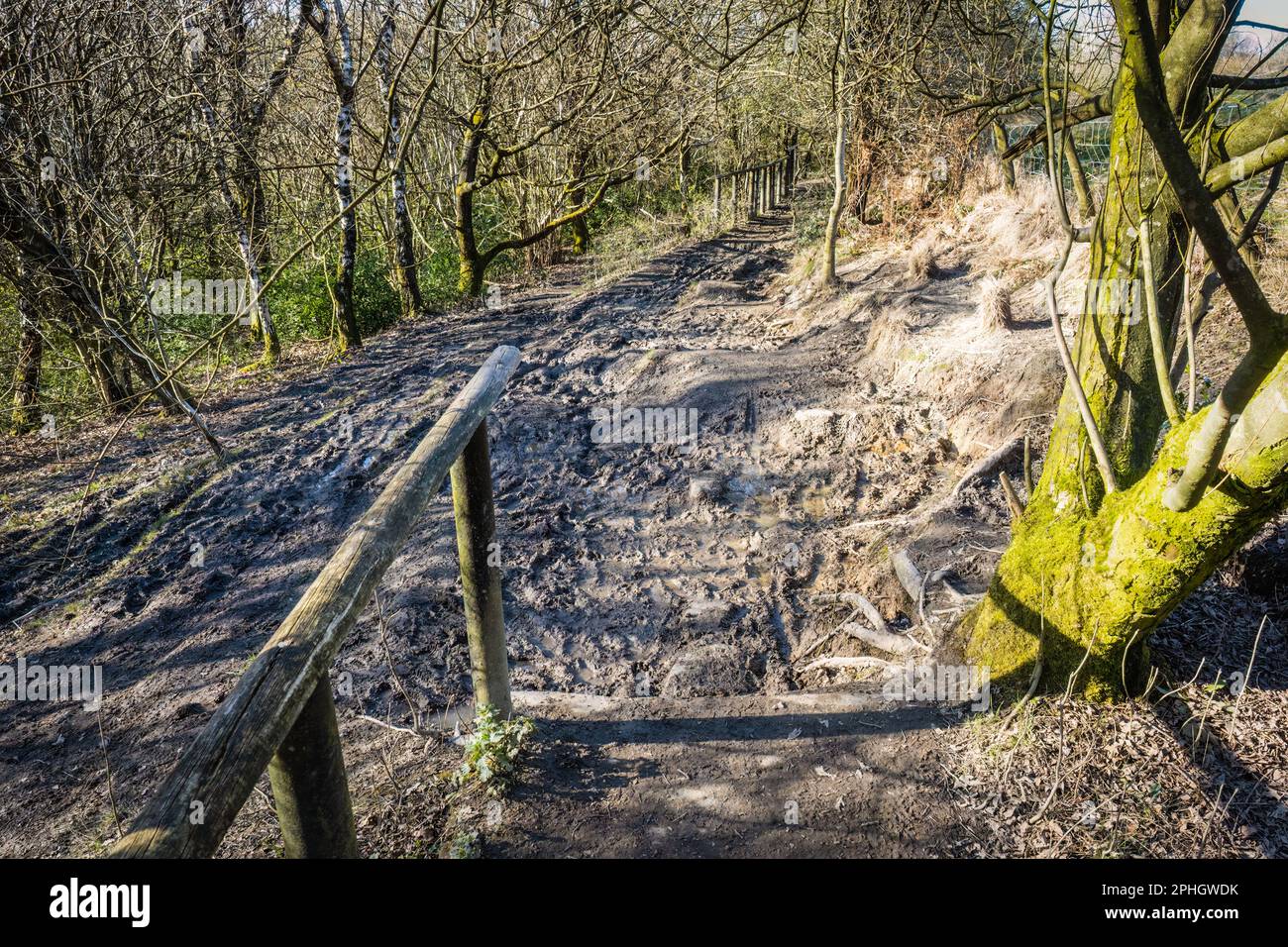 environmental impacts of mountain biking may outweigh the benefits