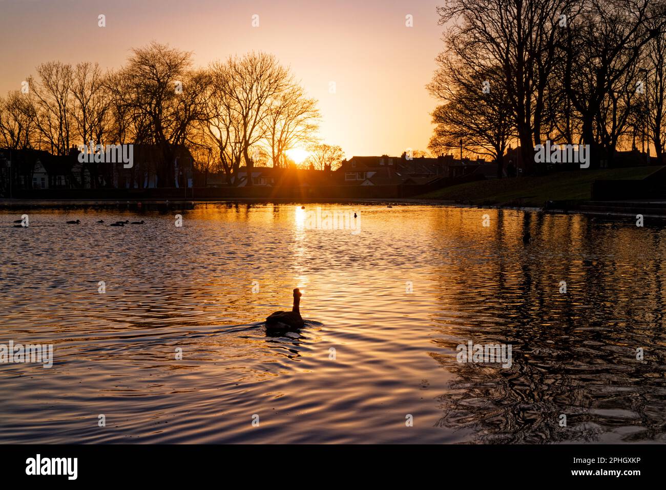 Clarence park bury hires stock photography and images Alamy