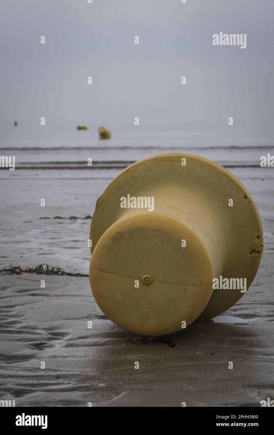 signal buoy at low tide Stock Photo