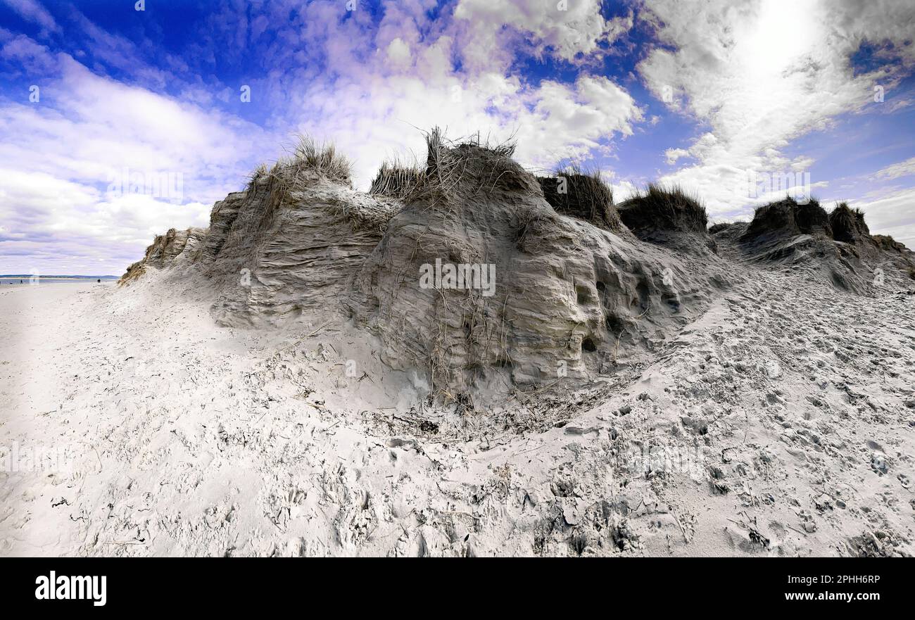 Panorama photograph showing the severe erosion to the west/sea facing side of the spit at East Head Chichester showing  the dunes are  rapidly eroding Stock Photo