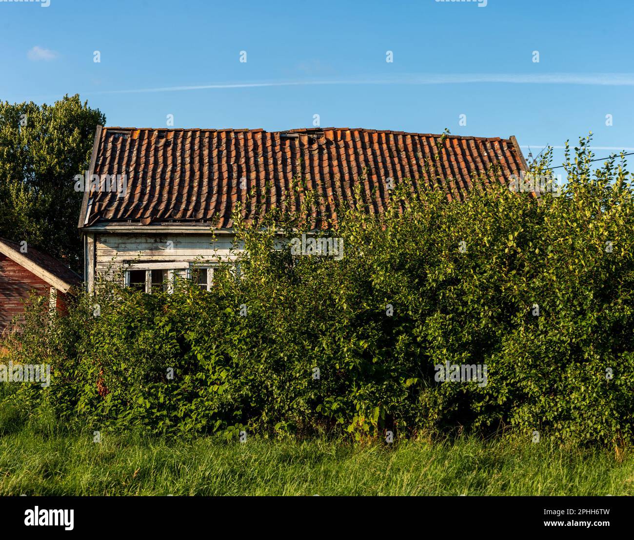 Old abandoned white wooden house Stock Photo - Alamy