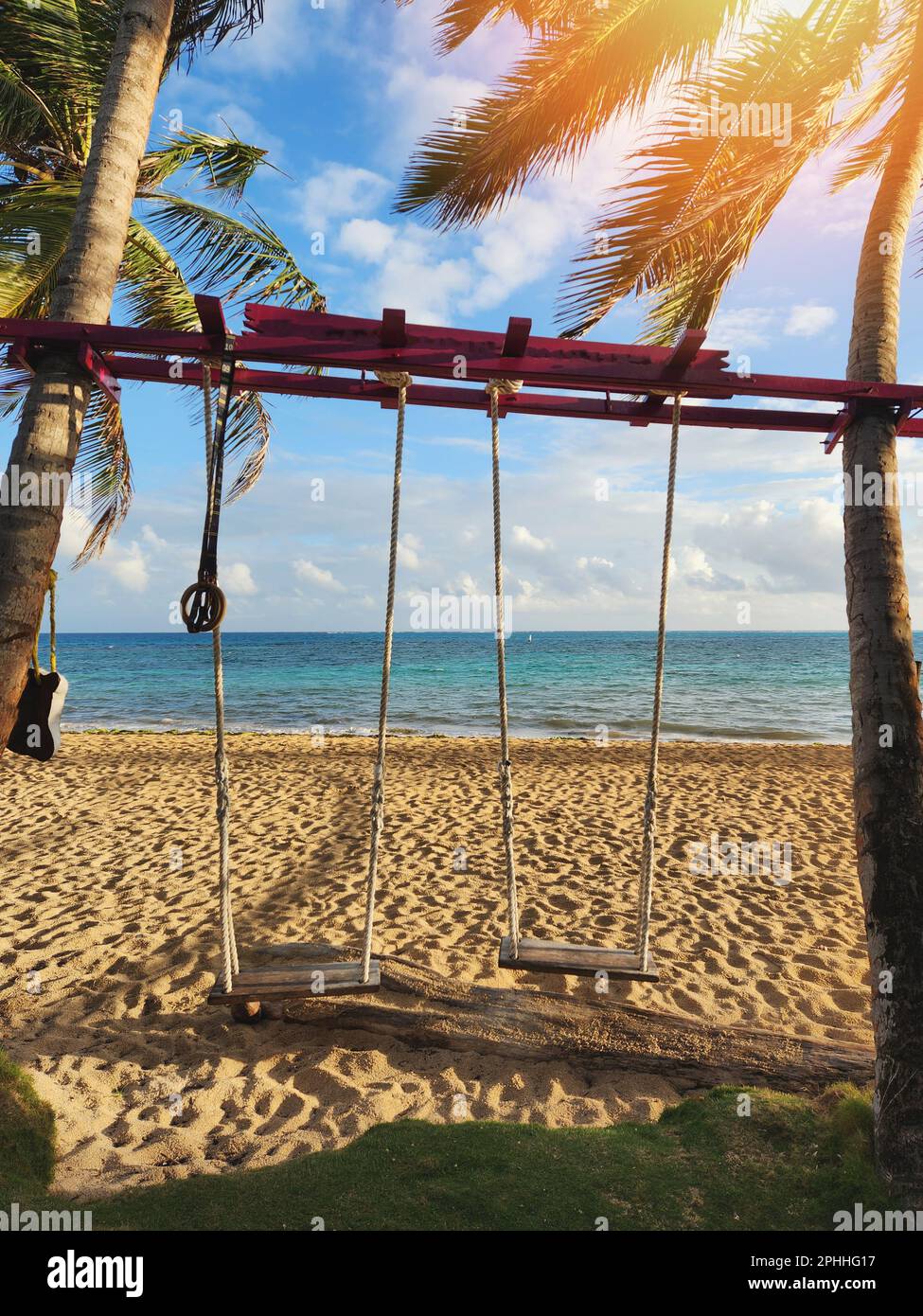 Swings between two palm tree on beach blue sea background Stock Photo