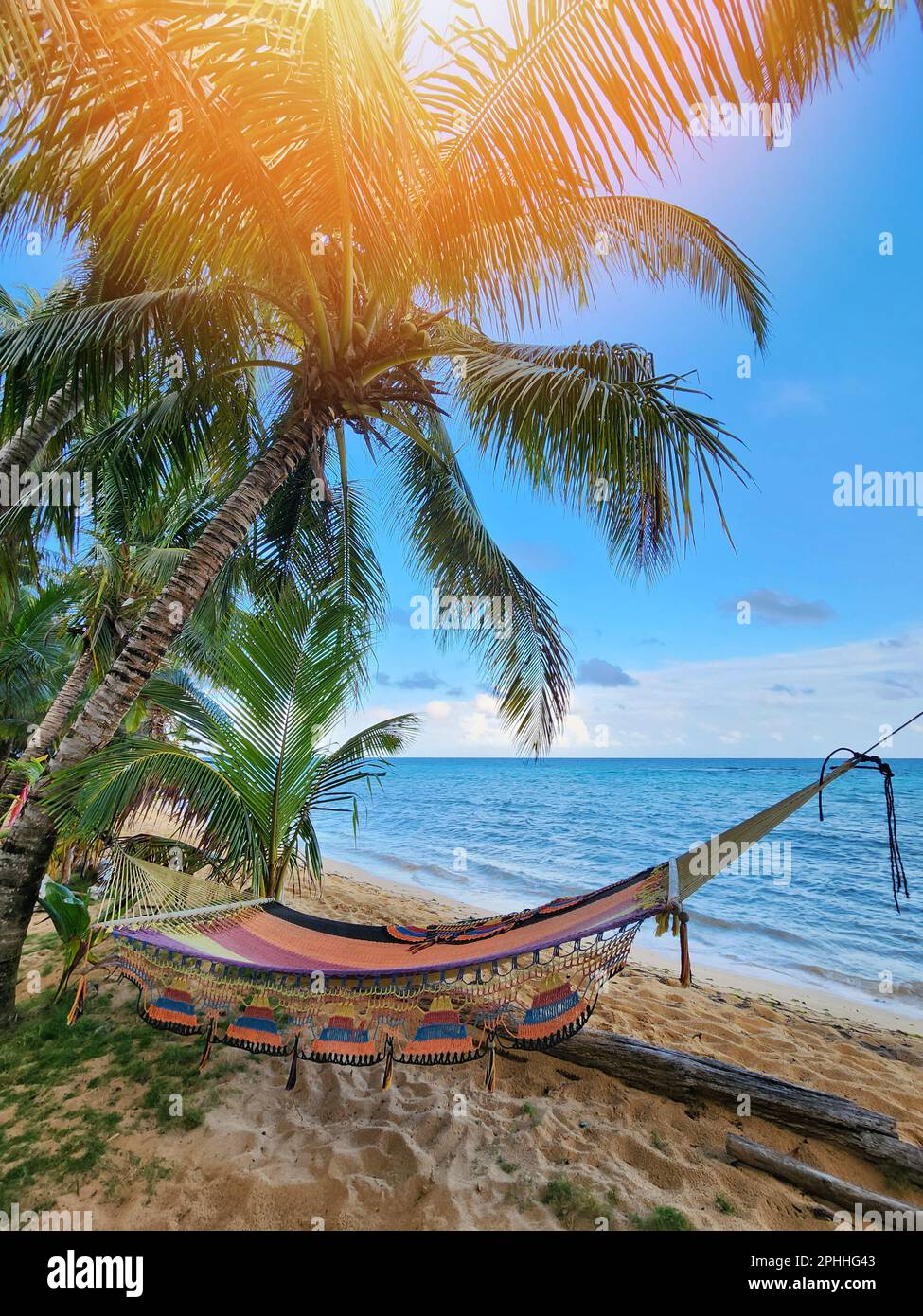 Hammock hang between two palm trees on blue sea background Stock Photo