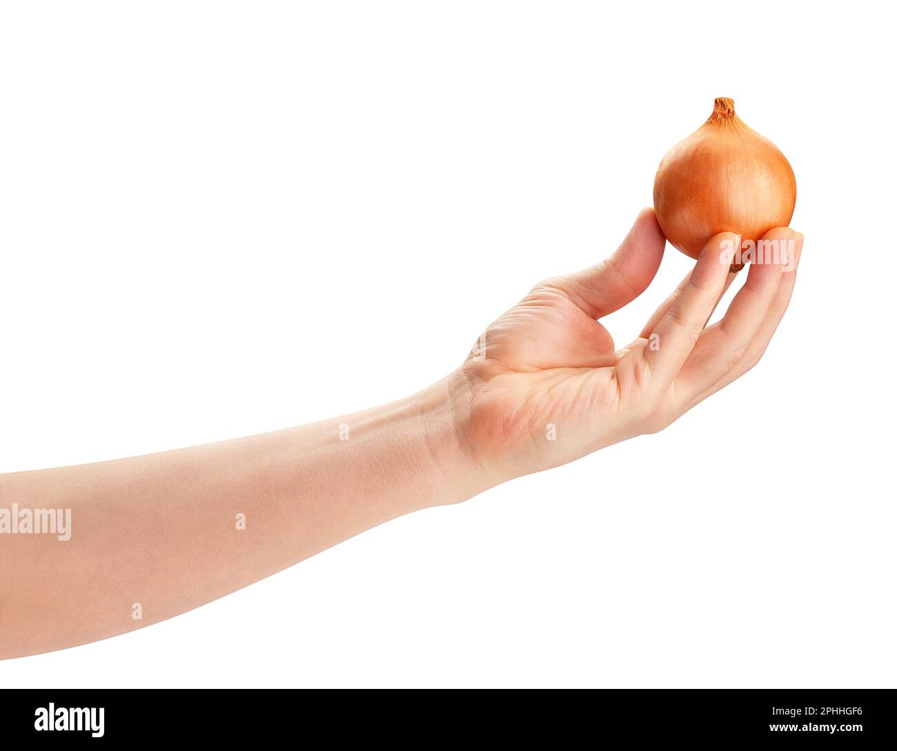 onion in hand path isolated on white Stock Photo