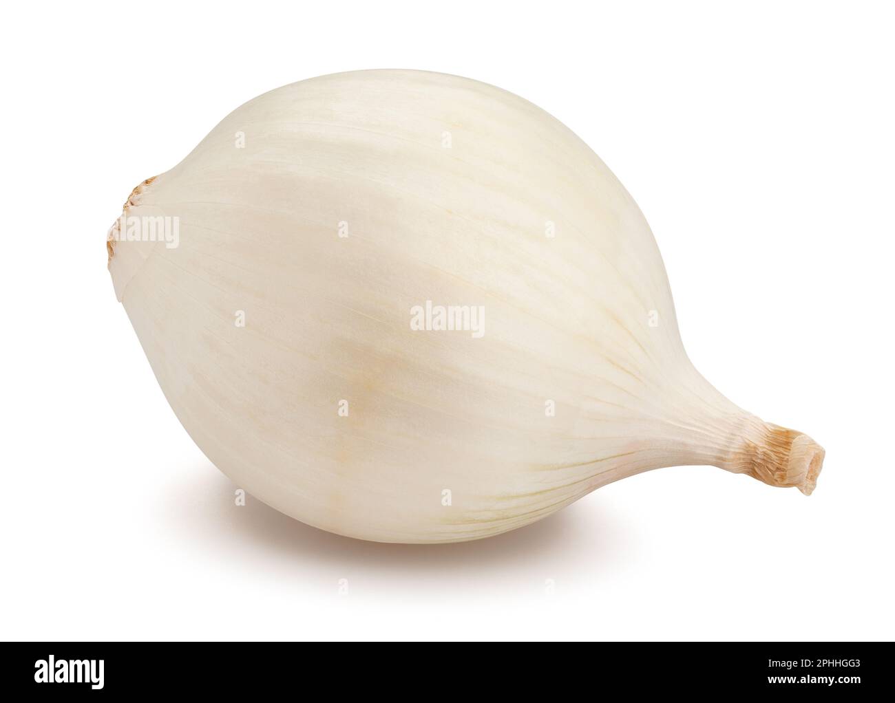 white onions path isolated on white Stock Photo