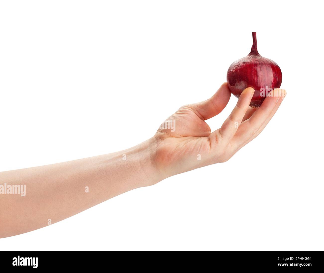 red onion in hand path isolated on white Stock Photo