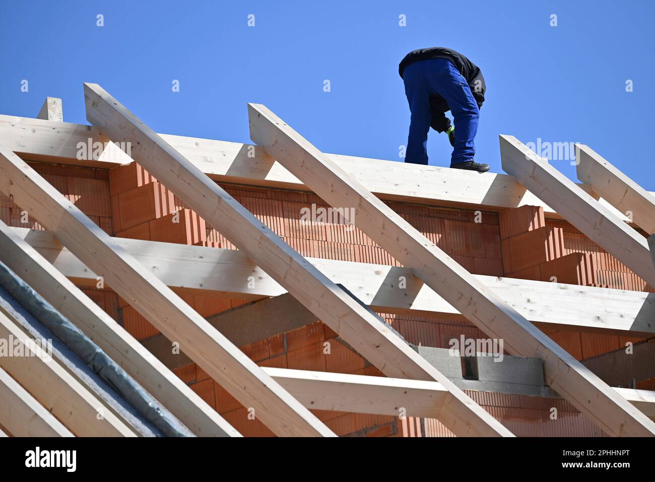 Munich, Deutschland. 28th Mar, 2023. Carpenters, carpenters