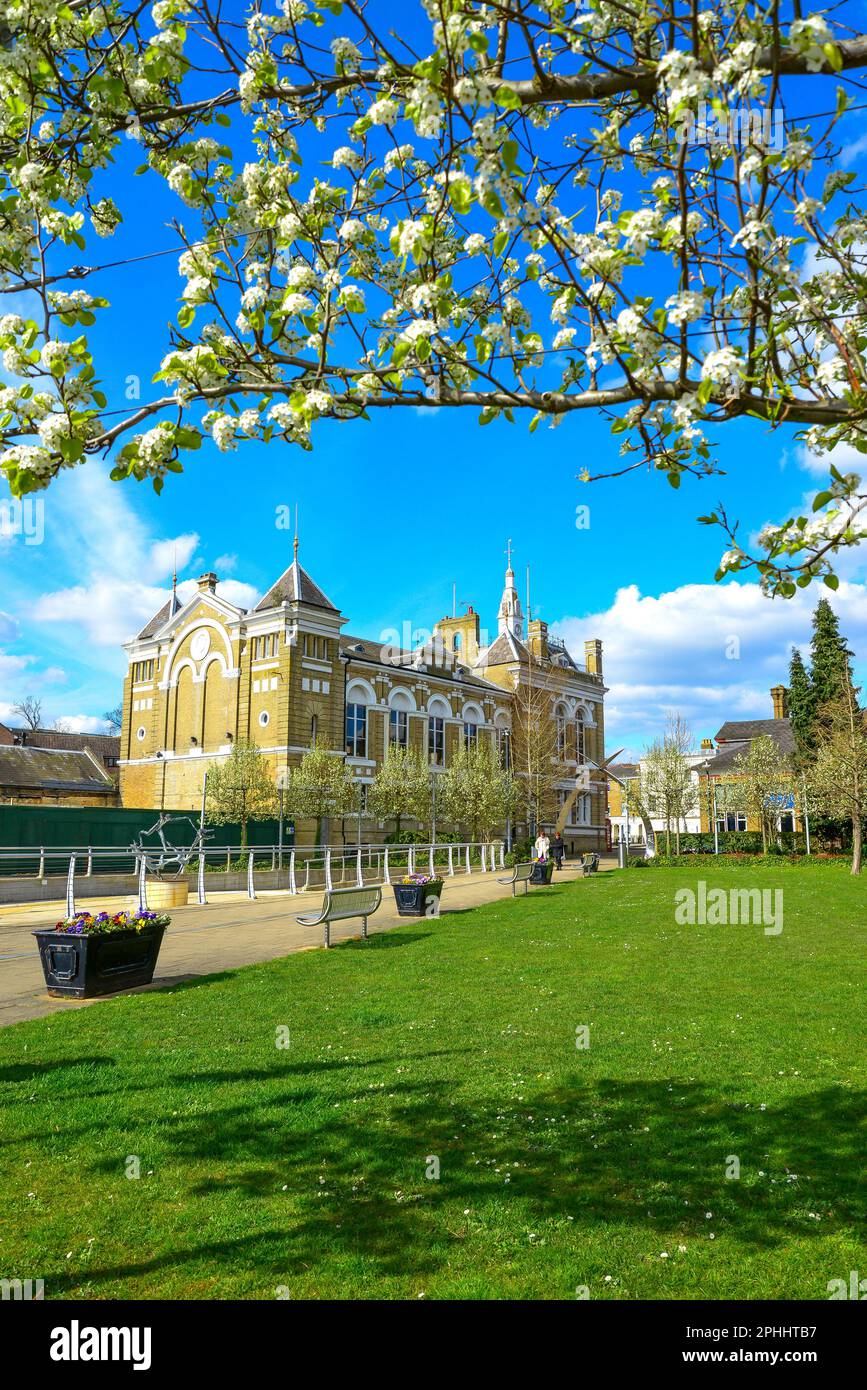 Spring blossom, Memorial Gardens, Staines-upon-Thames, Surrey, England, United Kingdom Stock Photo