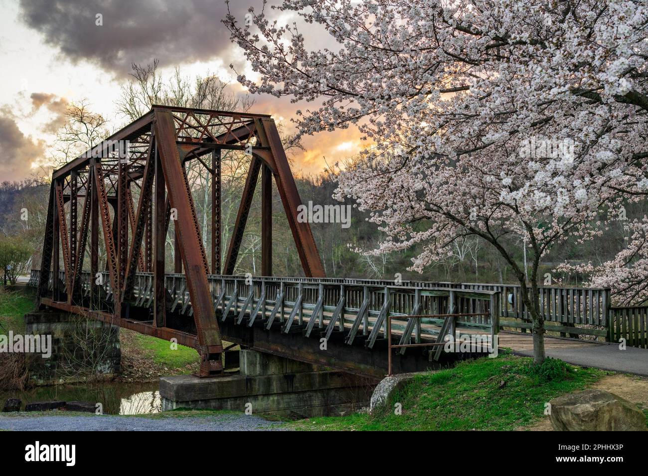 Old steel girder bridge carrying walking and cycling trail in Morgantown WV over Deckers Creek with cherry blossoms blooming in the spring Stock Photo