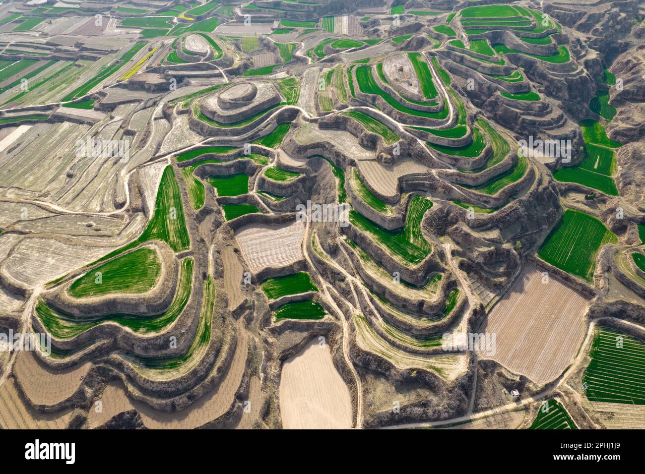 YUNCHENG, CHINA - MARCH 28, 2023 - Aerial photo shows terraces on the Loess Plateau covered with layers of green wheat seedlings and dotted with golde Stock Photo