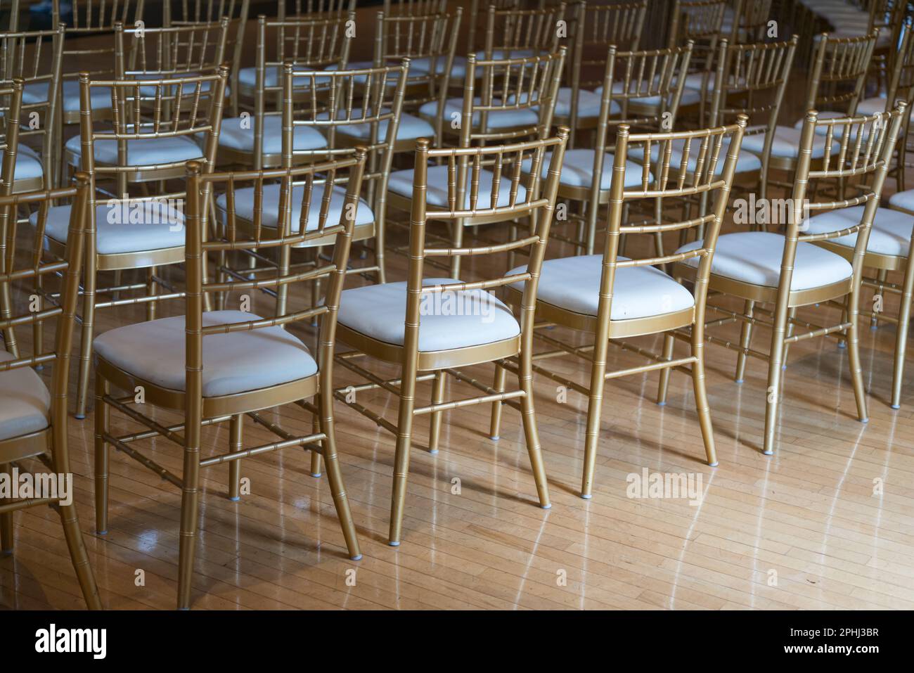elegant banquet chairs arranged for audience or empty chairs in a room