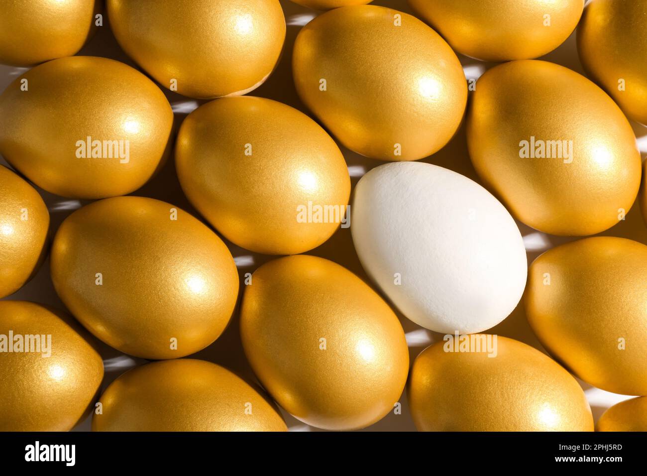 Golden egg among ordinary eggs. 3d image. Isolated white background Stock  Photo - Alamy