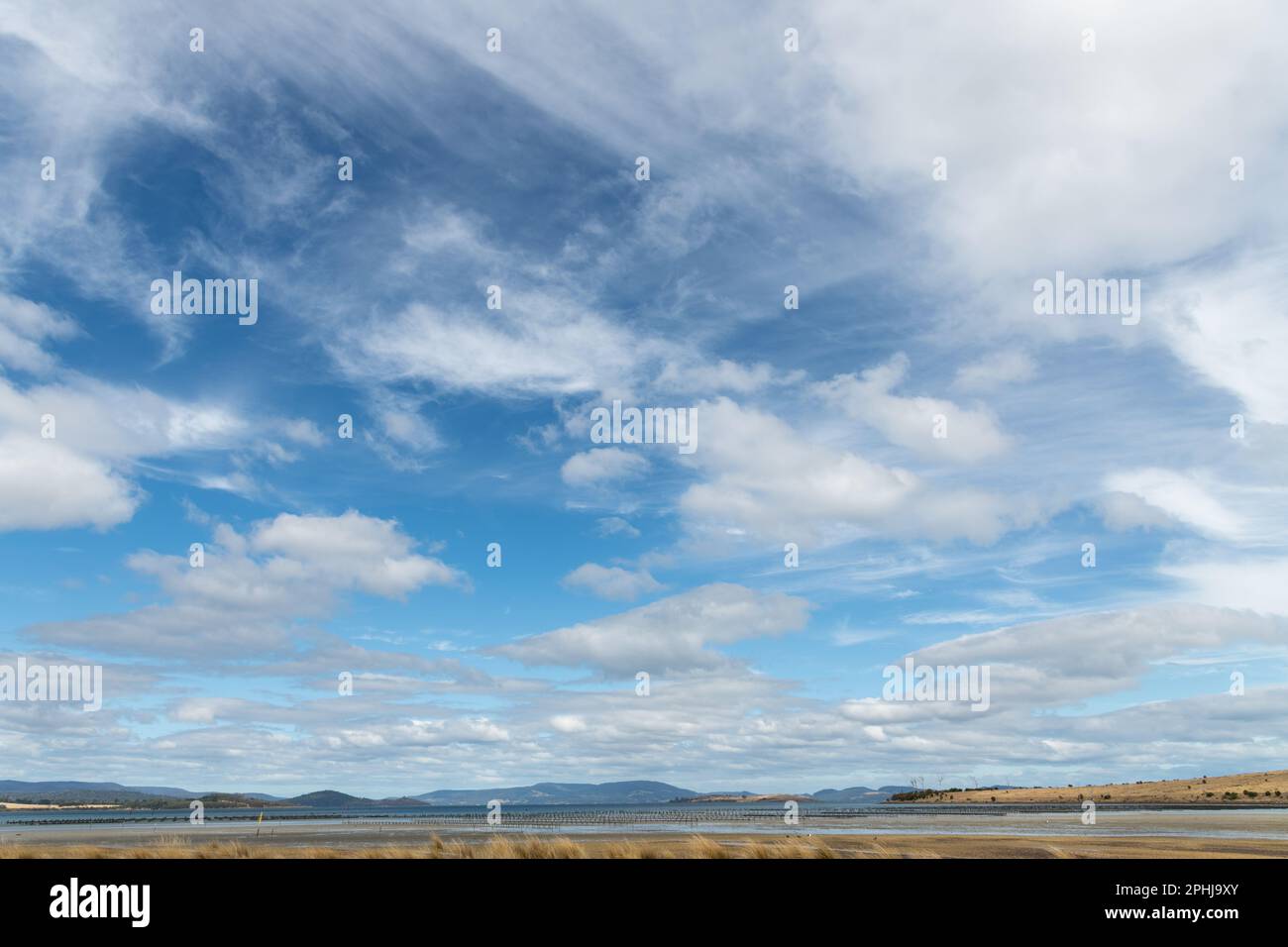 Large wispy sky in a landscape scene with oyster frames at low tide in Tasmania, Australia. sky replacement. Stock Photo