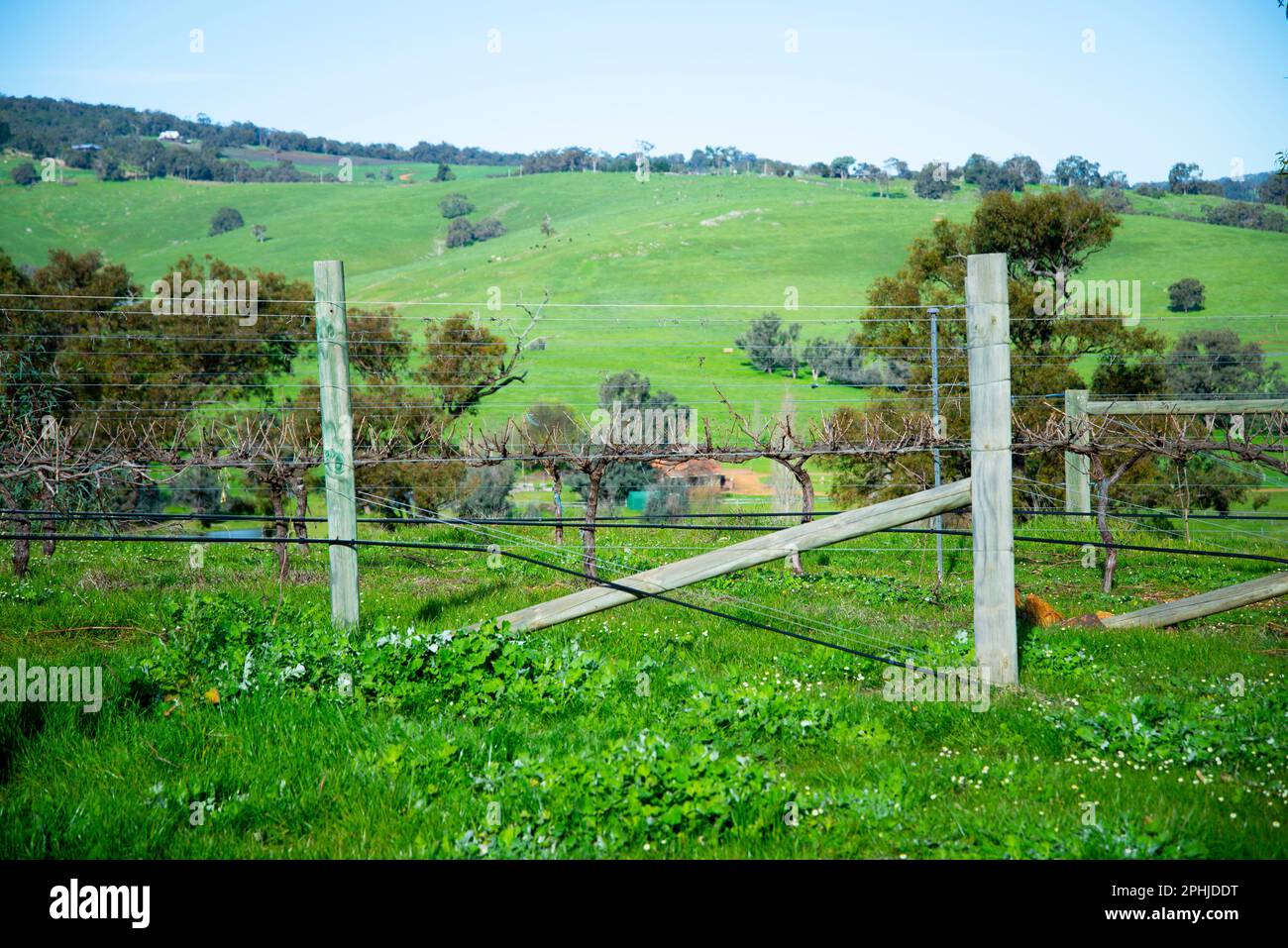 Ferguson Valley Western Australia Stock Photo Alamy