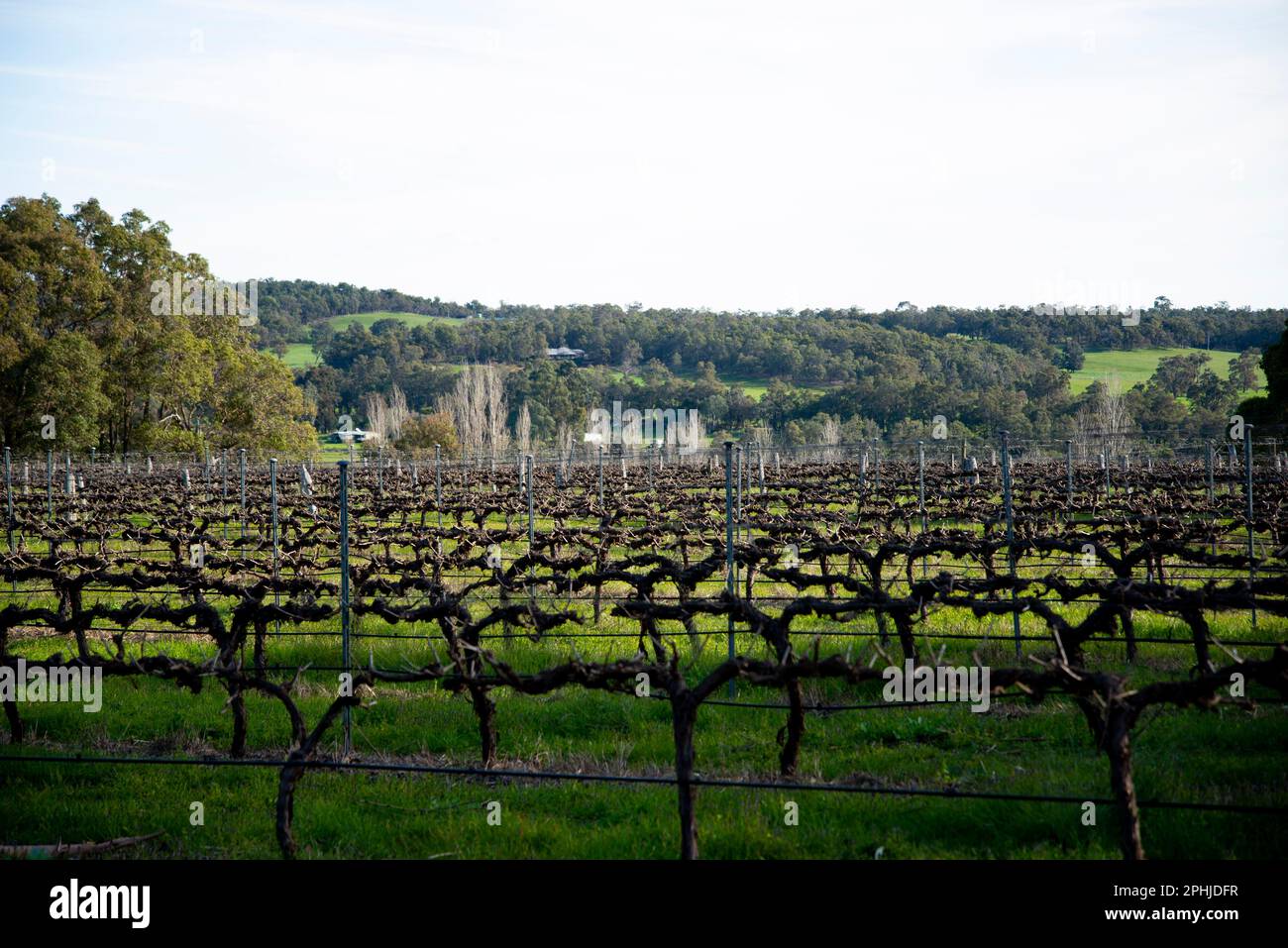Ferguson Valley Western Australia Stock Photo Alamy
