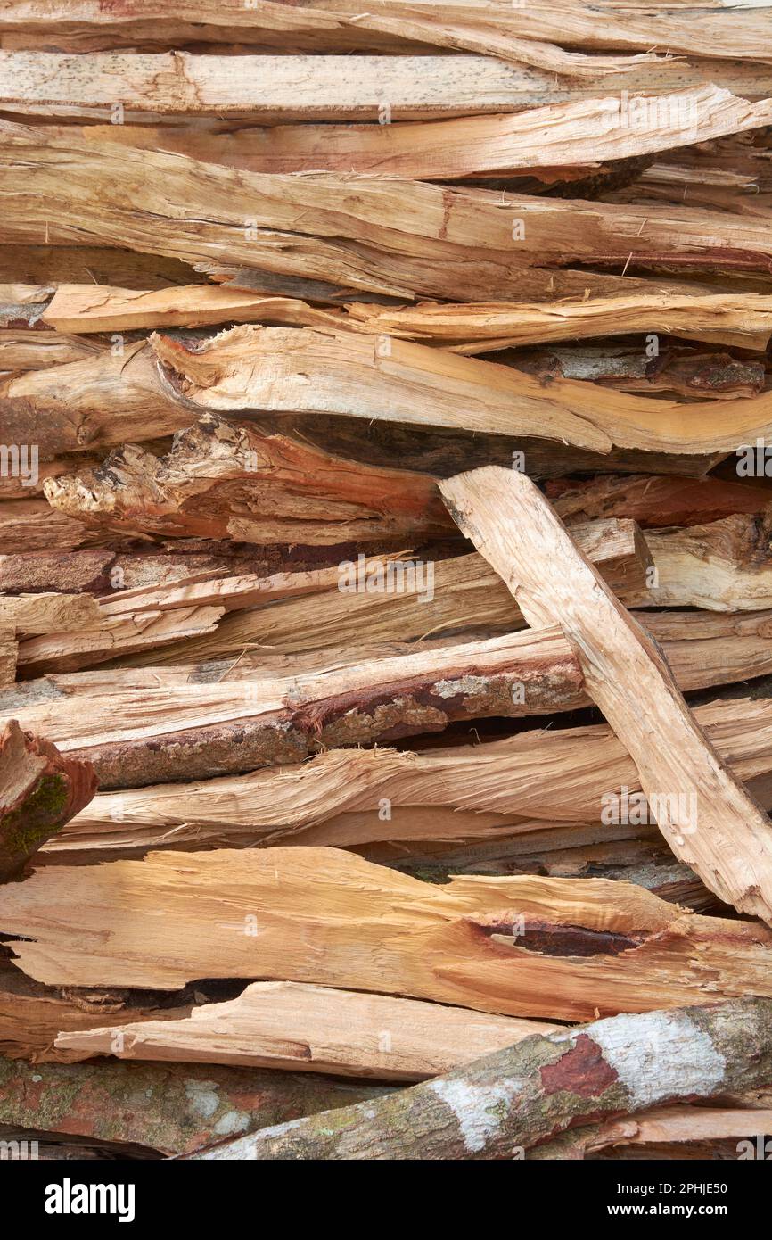 chopped firewood, preparation for winter, fireplace or stove, stacked