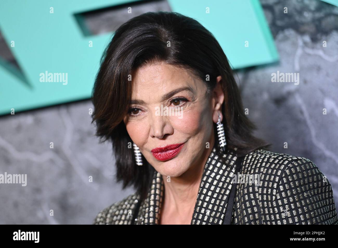 New York, USA. 28th Mar, 2023. Shohreh Aghdashloo walks the red carpet
