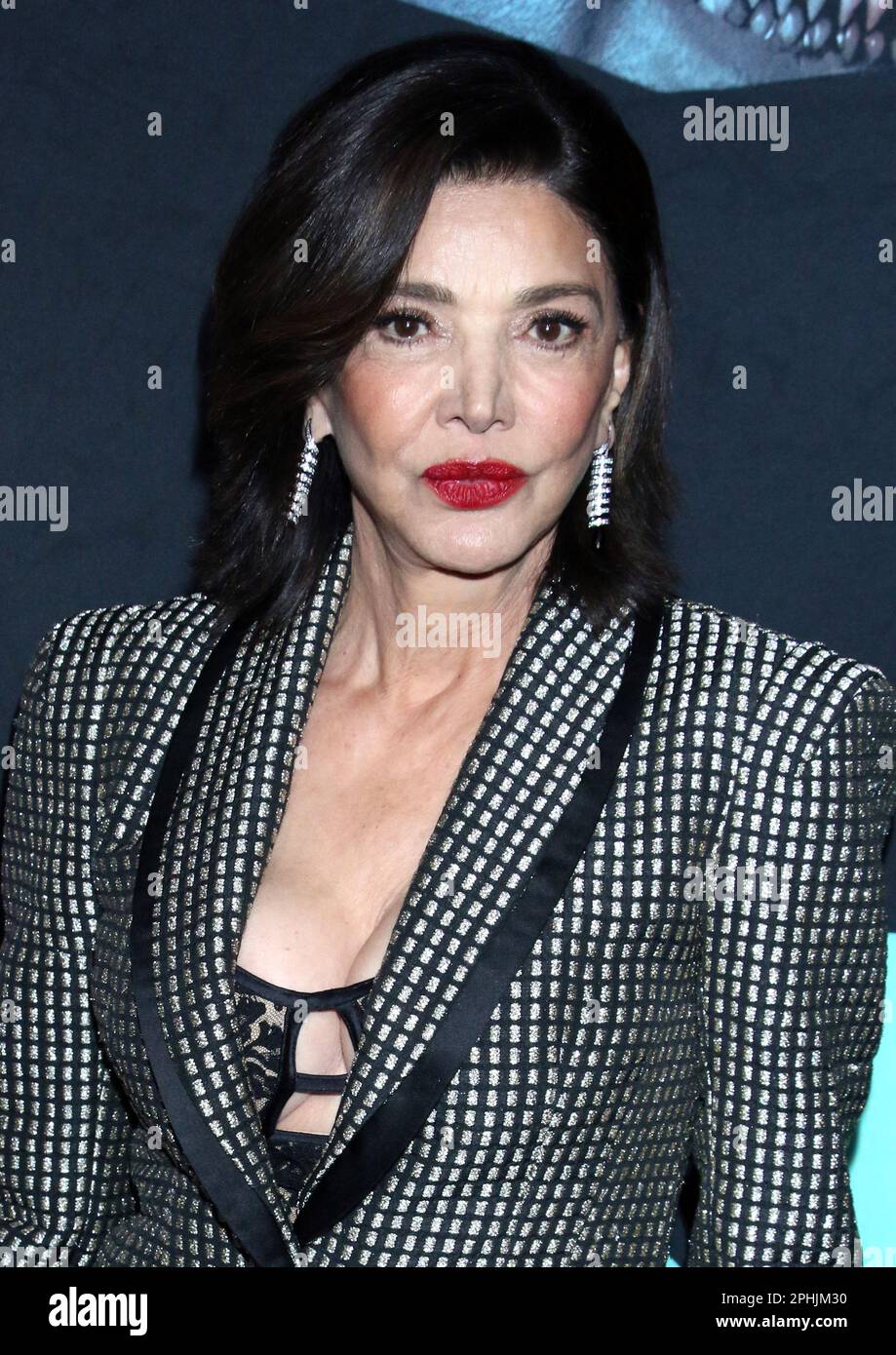 New York, NY, USA. 28th Mar, 2023. Shohreh Aghdashloo at the NY