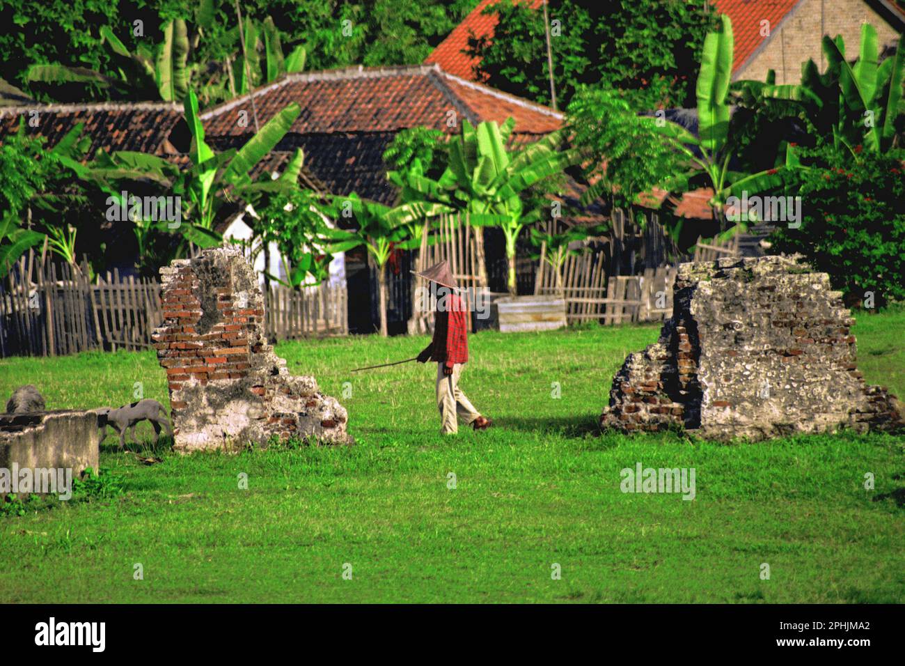 A villager wearing farmer hat is walking on grass field near the ruin of a building at Kaibon palace, one of the cultural heritage objects from Banten Sultanate period located in area now called Banten Lama (Old Banten) in Serang, Banten, Indonesia. 'The sustainability of cultural heritage is strongly linked to the effective participation of local communities in the conservation and management of these resources,' according to a team of scientists led by Sunday Oladipo Oladeji in their research article published on Sage Journals on October 28, 2022. Stock Photo