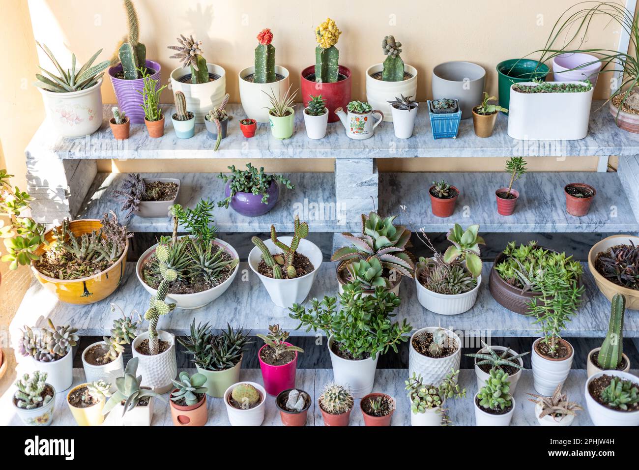 Ornamental plant stand hires stock photography and images Alamy