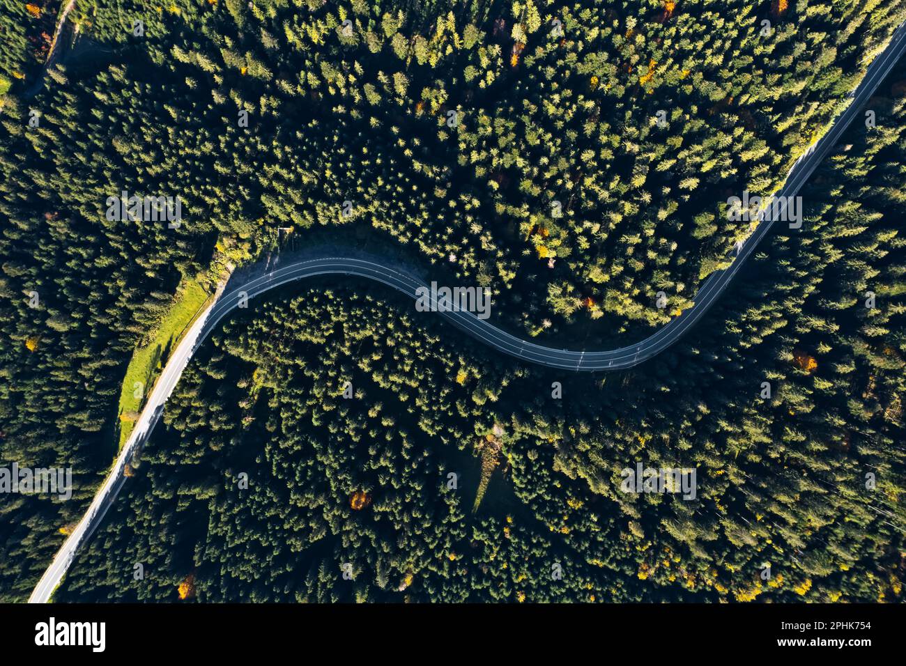 Aerial view of asphalt road surrounded by coniferous forest on sunny ...