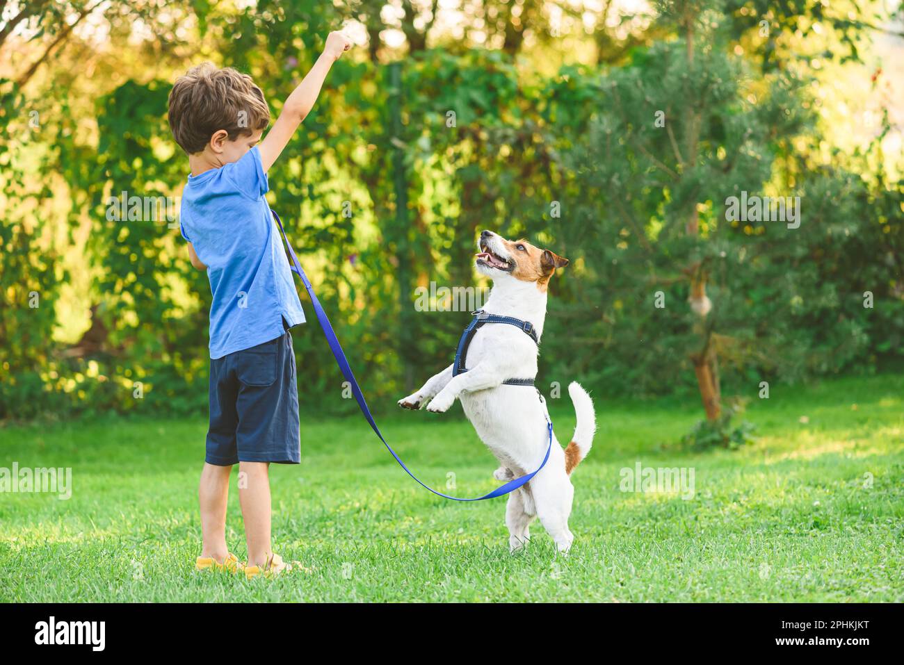 Young owner training dog to stand on hind paws. Pet dog and kid learning tricks together outdoor. Stock Photo