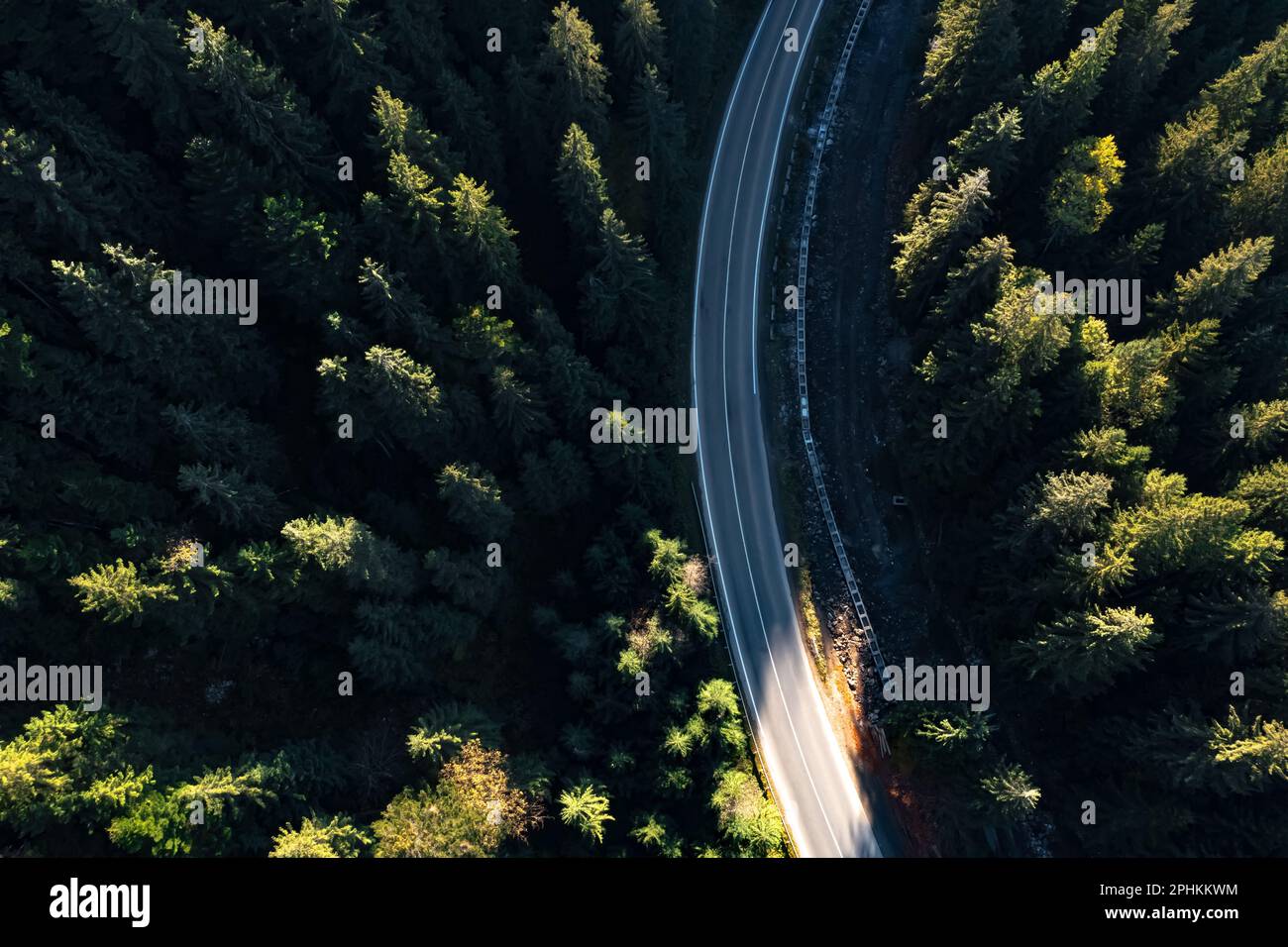 Aerial view of asphalt road surrounded by coniferous forest on sunny ...