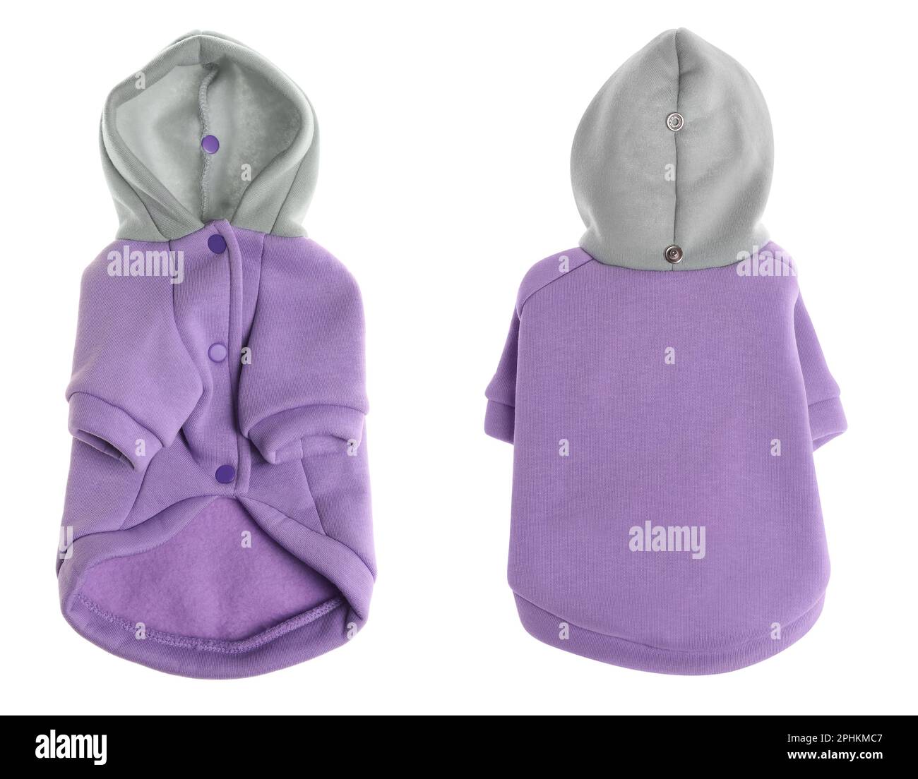 Stylish dog clothes on white background, collage Stock Photo Alamy