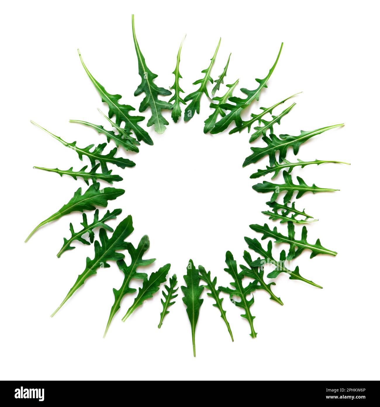frame from arugula on white background, flat lay. Space for text Stock Photo
