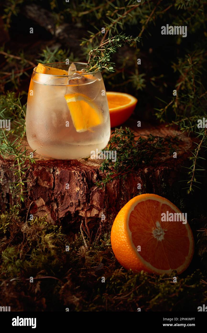 Gin and Tonic cocktail with orange and thyme. An iced refreshing drink on an old stump with moss and juniper branches. Stock Photo