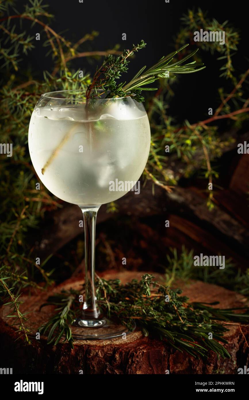 Gin and Tonic cocktail with rosemary and thyme. An iced refreshing drink on an old stump with moss and juniper branches. Stock Photo