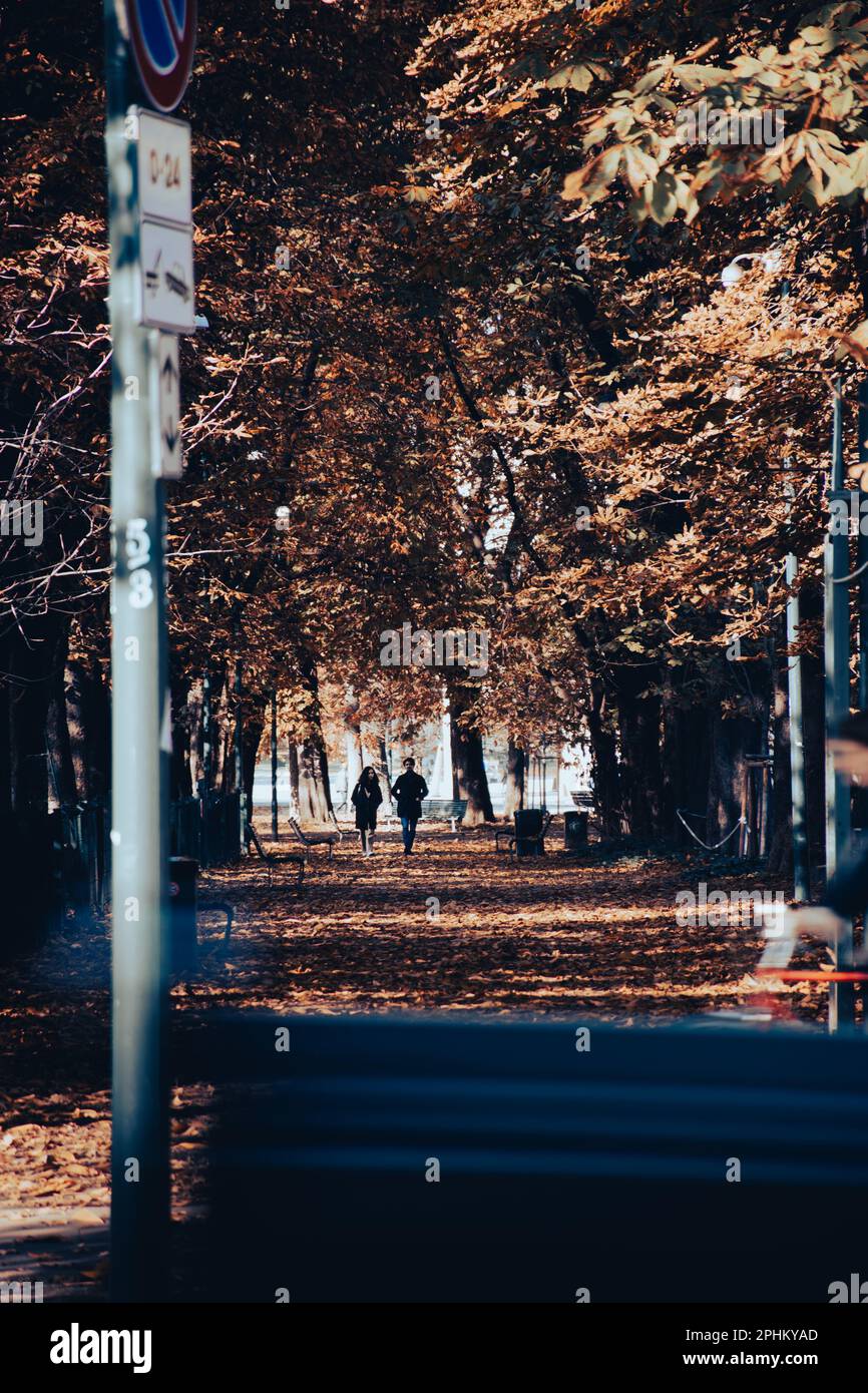 Couple walking in a park hi-res stock photography and images - Alamy