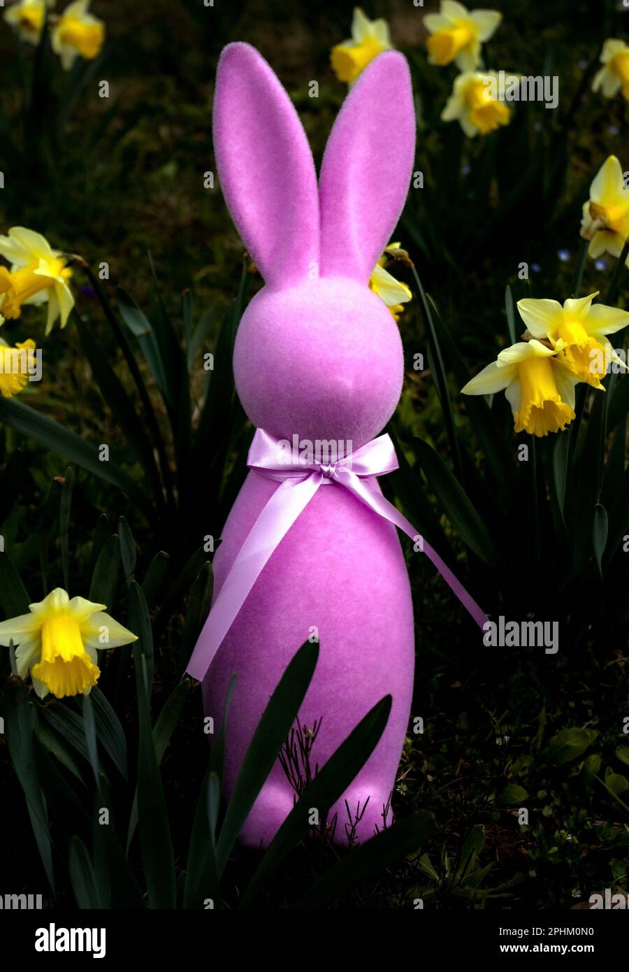 Purple decorative bunny rabbit standing in daffodils narcissus for easter decoration in southern wv united states of america Stock Photo