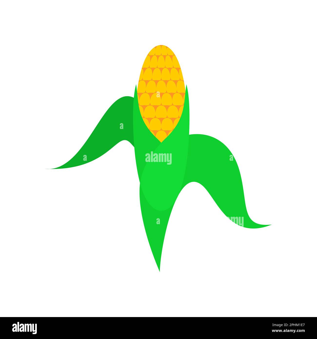 Ear of corn isolated. Vector illustration Stock Vector Image & Art - Alamy