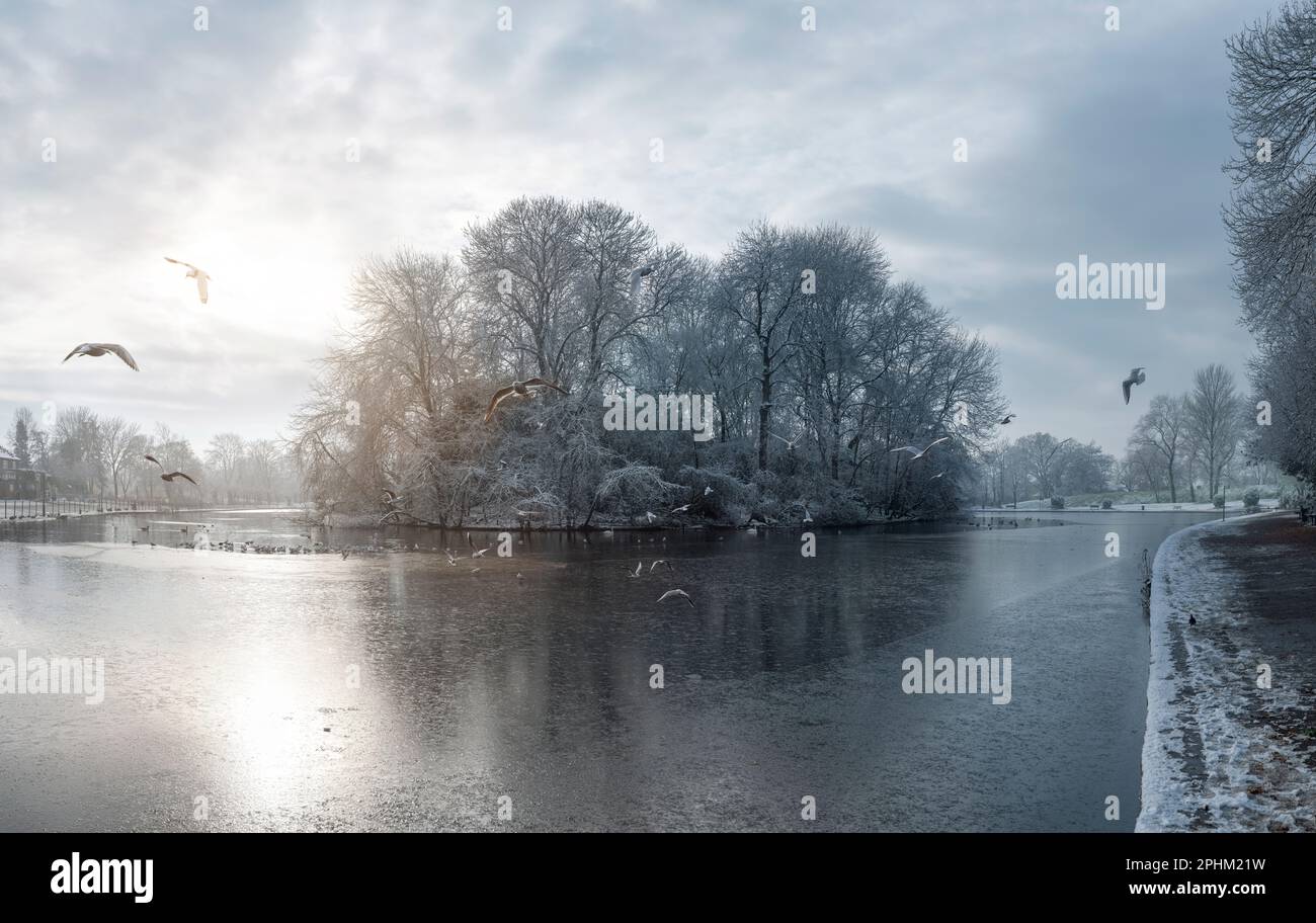 A winters morning by the frozen boating lake in Platt Fields Park, Manchester. Birds around the island on the lake in a city park on a frosty, icy day Stock Photo