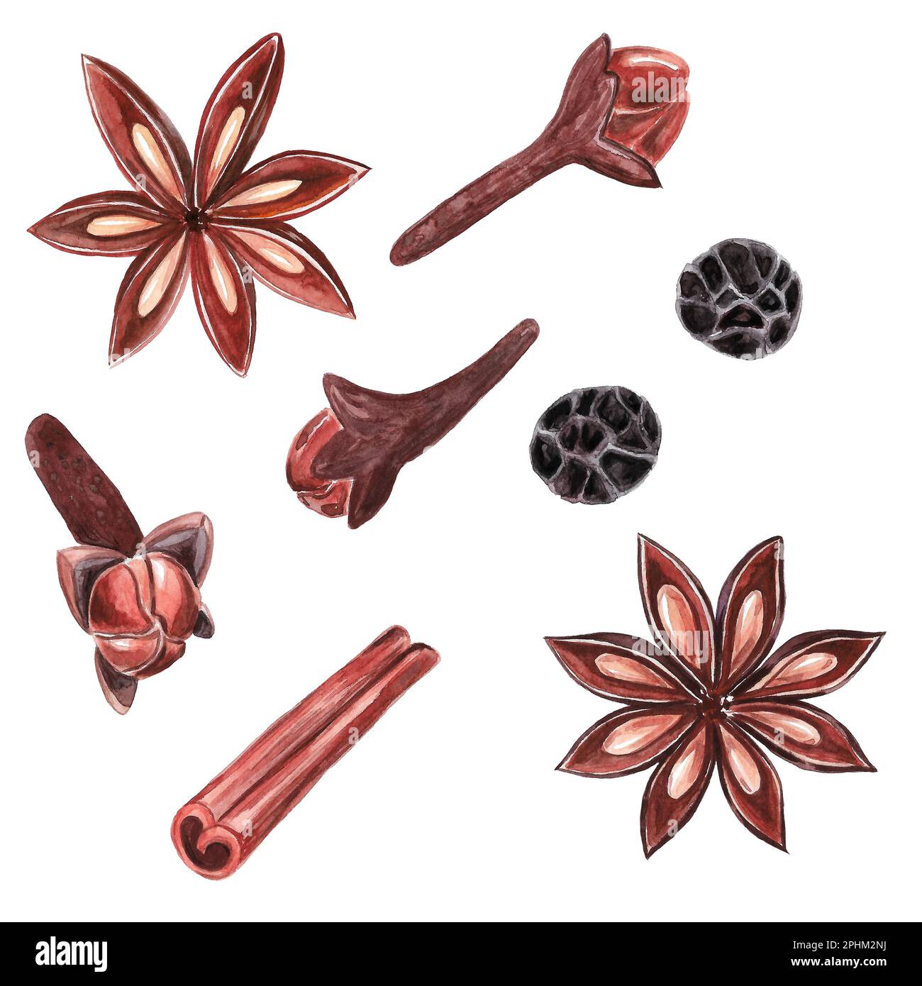 Set of spice, drawing by watercolor, hand drawn vector illustration