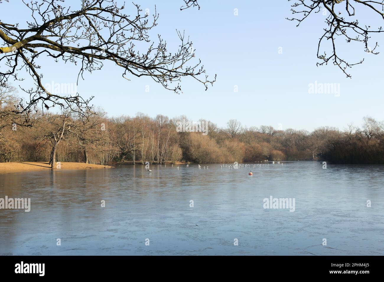 Hollow Ponds, also known as Leyton Flats, Epping Forest on the northern