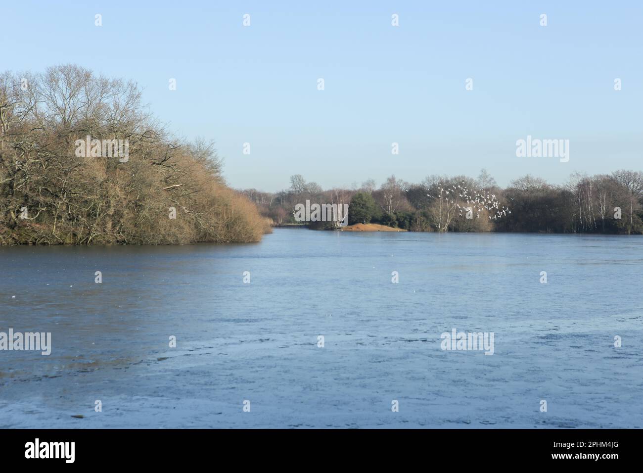 Hollow Ponds, also known as Leyton Flats, Epping Forest on the northern