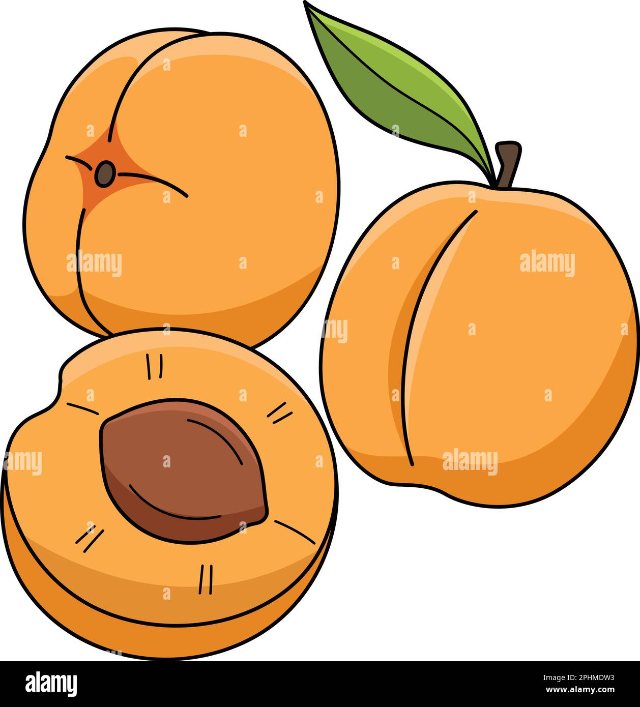 Apricot Fruit Cartoon Colored Clipart Illustration Stock Vector Image