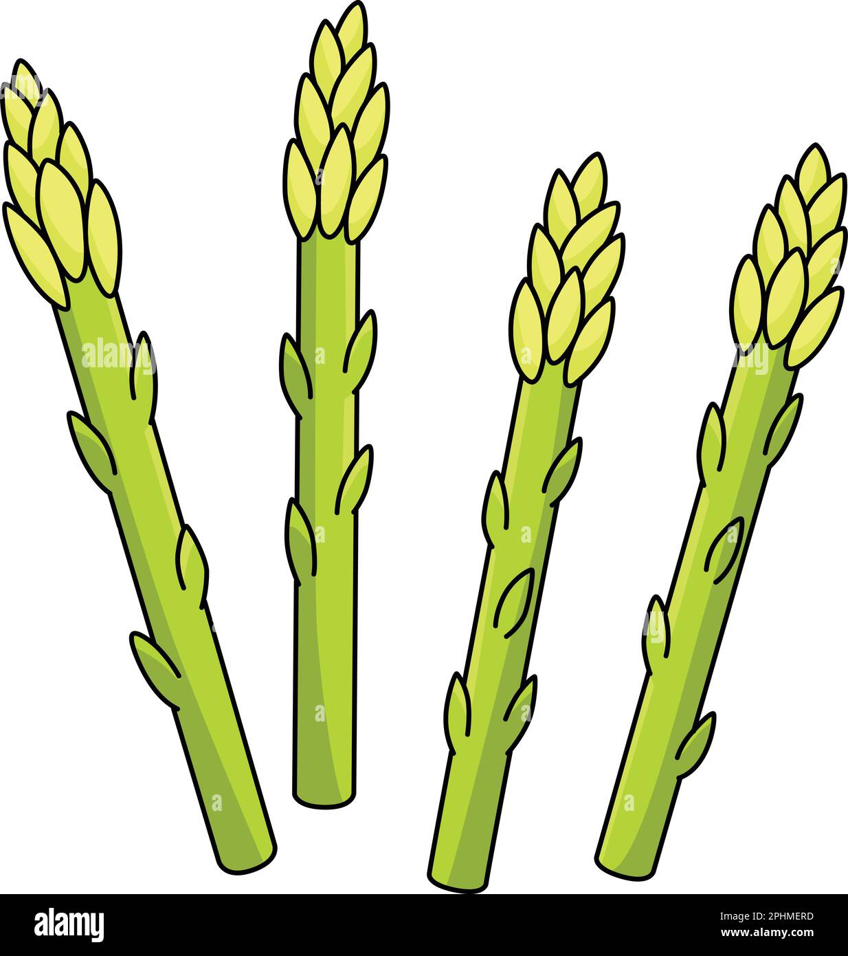 Asparagus Vegetable Cartoon Colored Clipart Stock Vector Image & Art