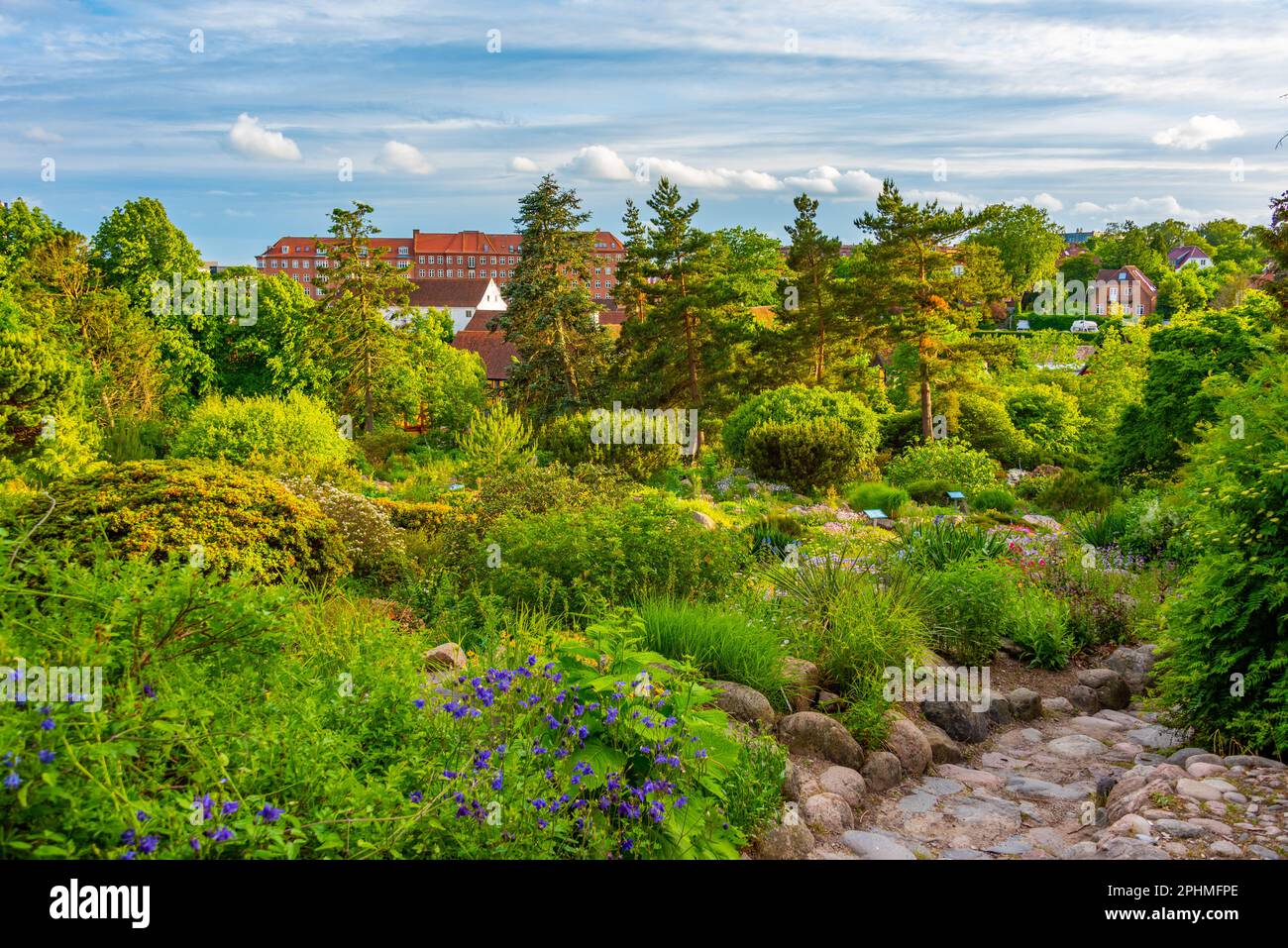 Aarhus botanical garden in Denmark. Stock Photo