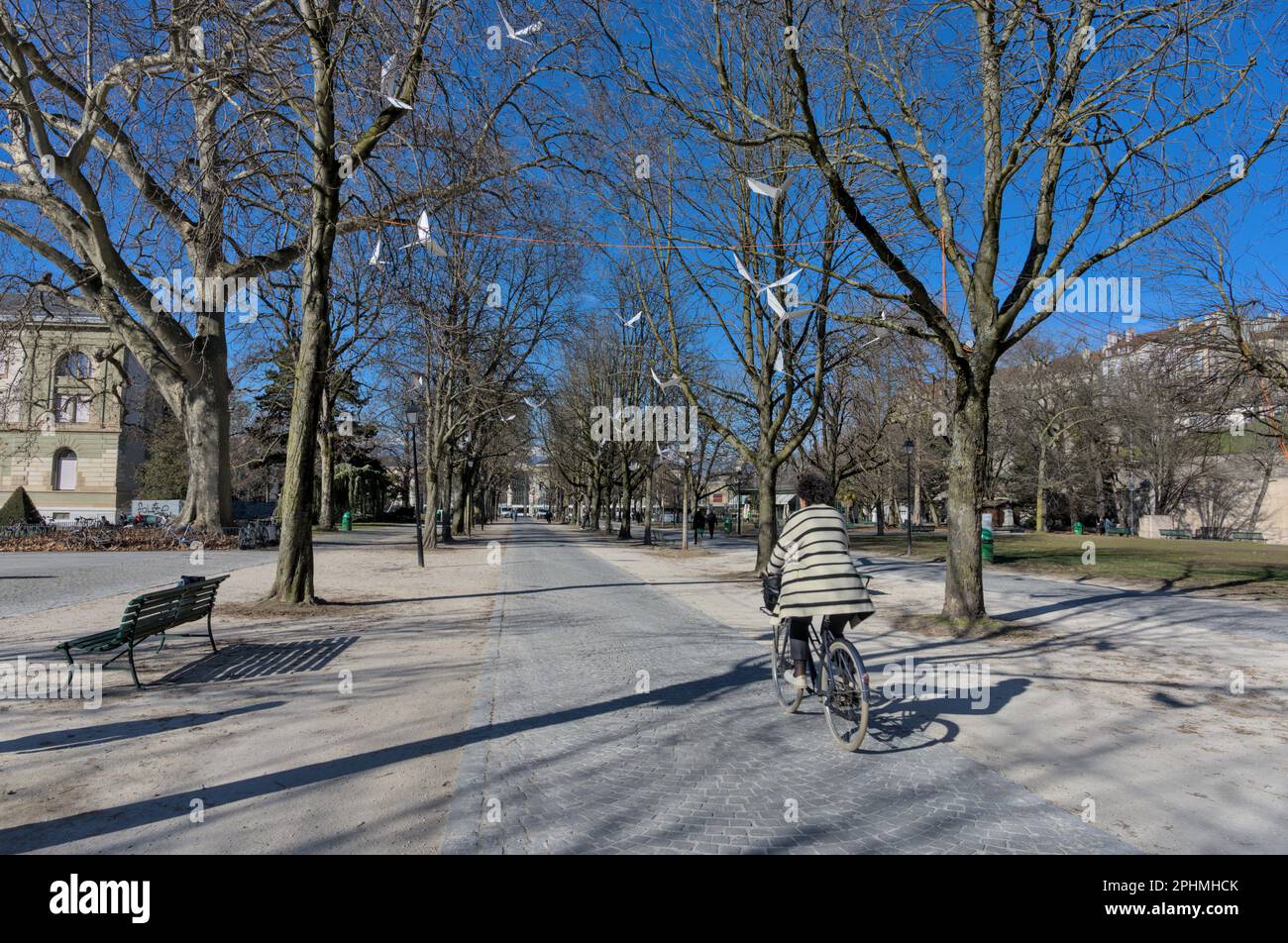 Middle aged woman riding her bike through the Bastions park in the daytime during the winter Stock Photo