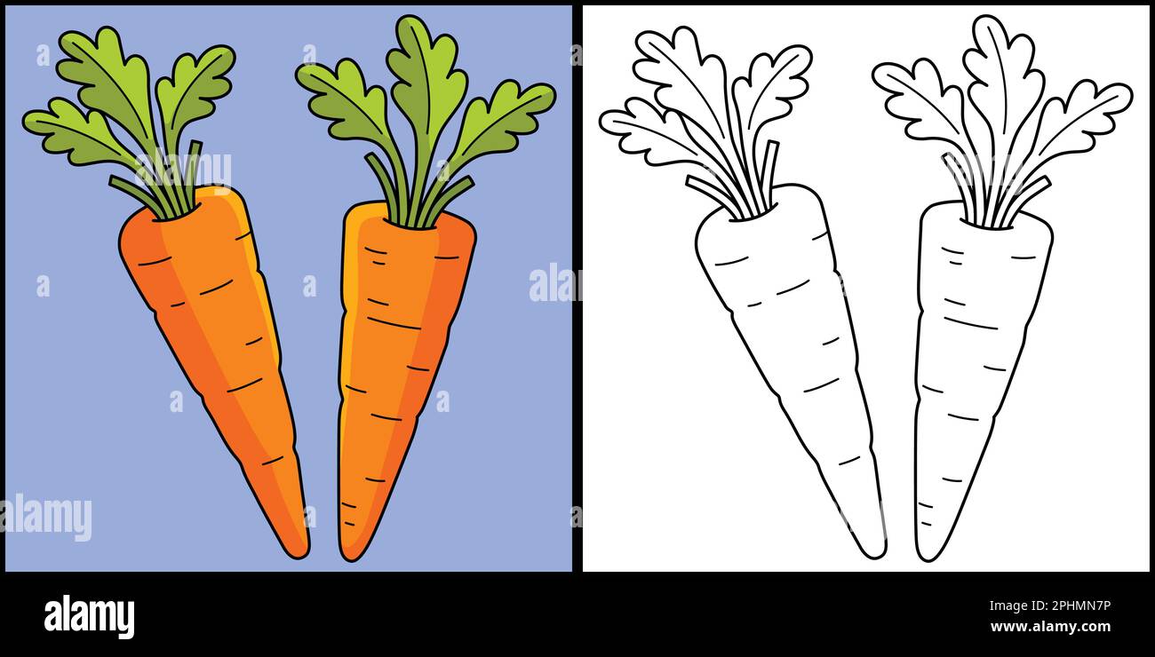 Carrots Vegetable Coloring Page Illustration Stock Vector Image & Art