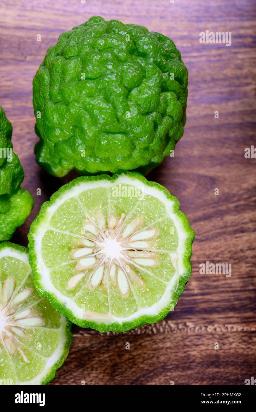Citrus hystrix, green kaffir lime or makrut lime, citrus fruit native ...