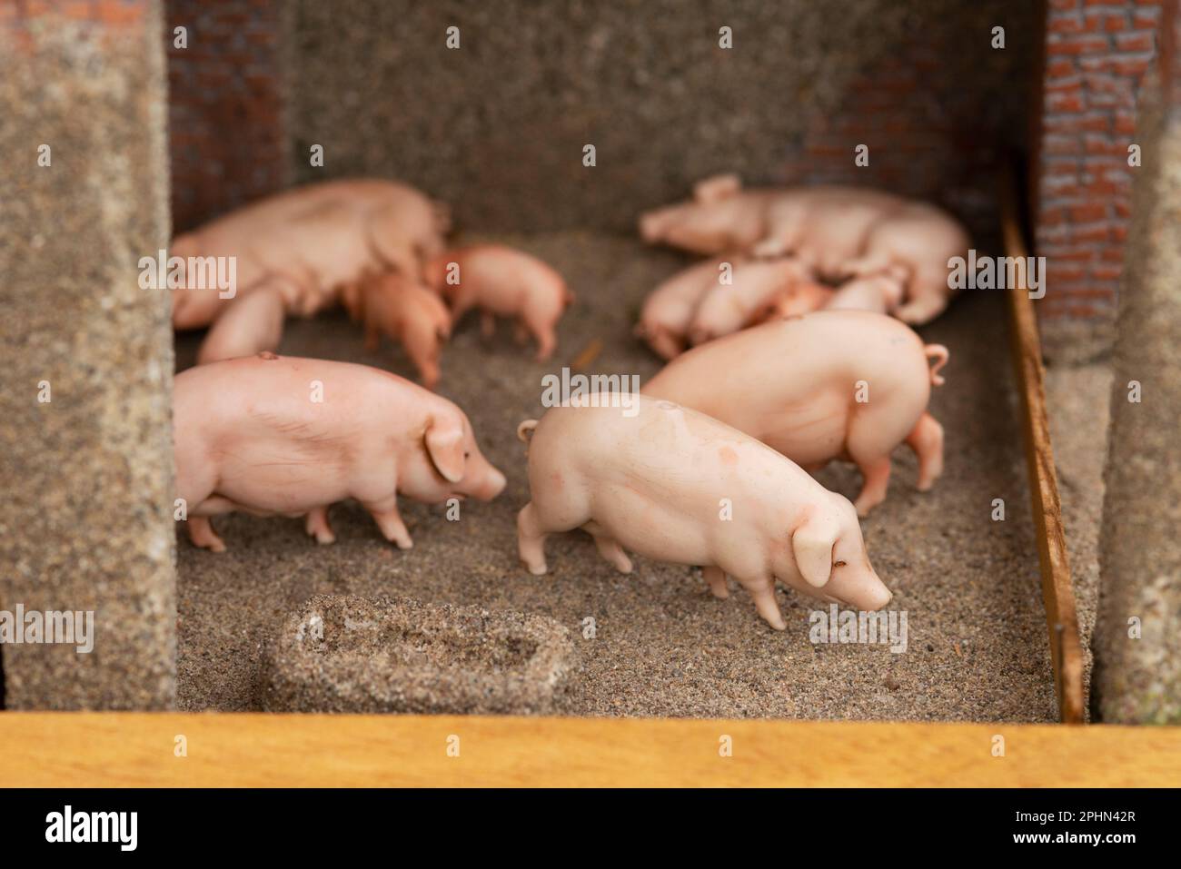 Pigs Miniature Toy Farm Animals Stock Photo Alamy