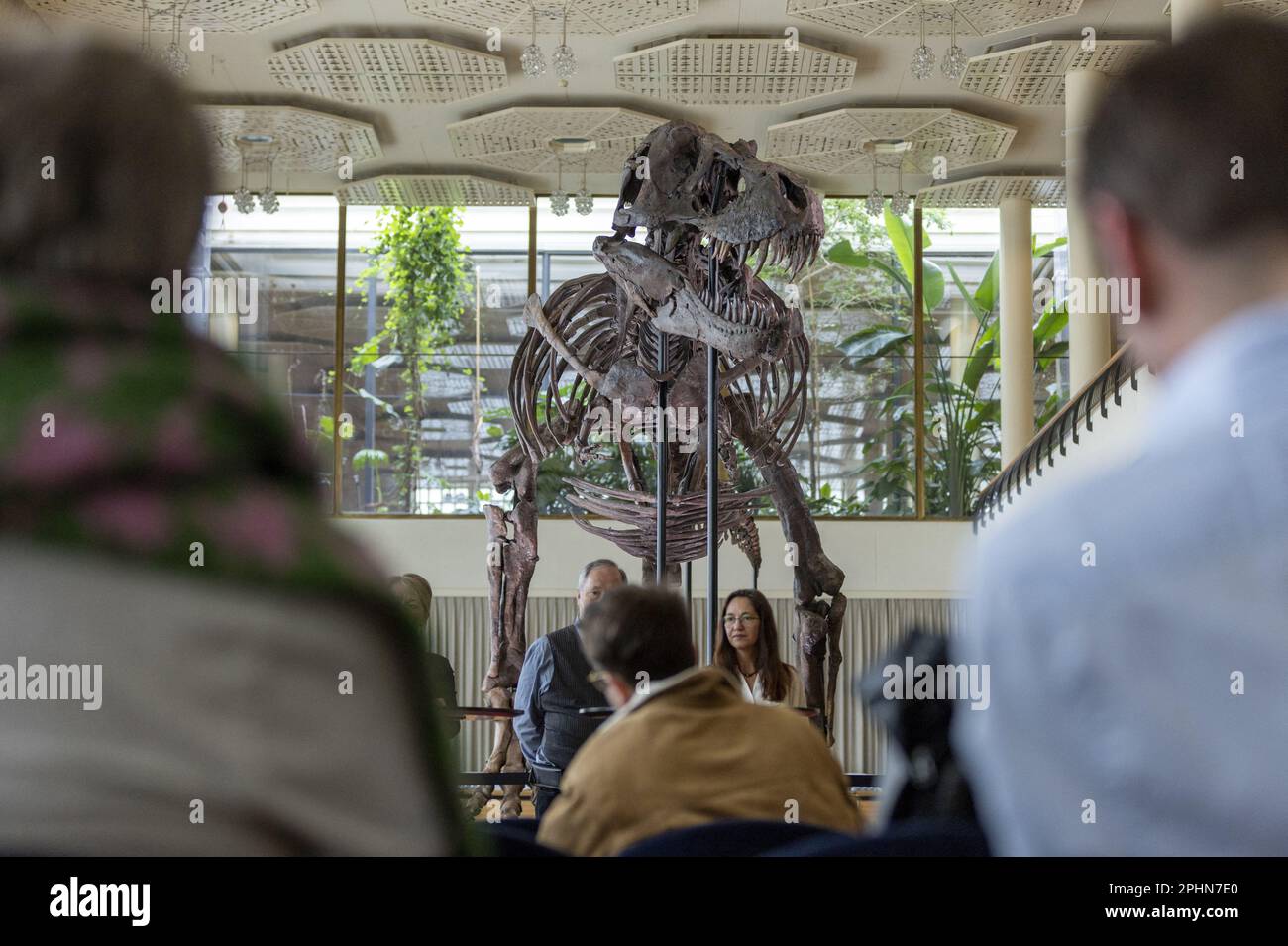 skeleton of a tyrannosaurus rex