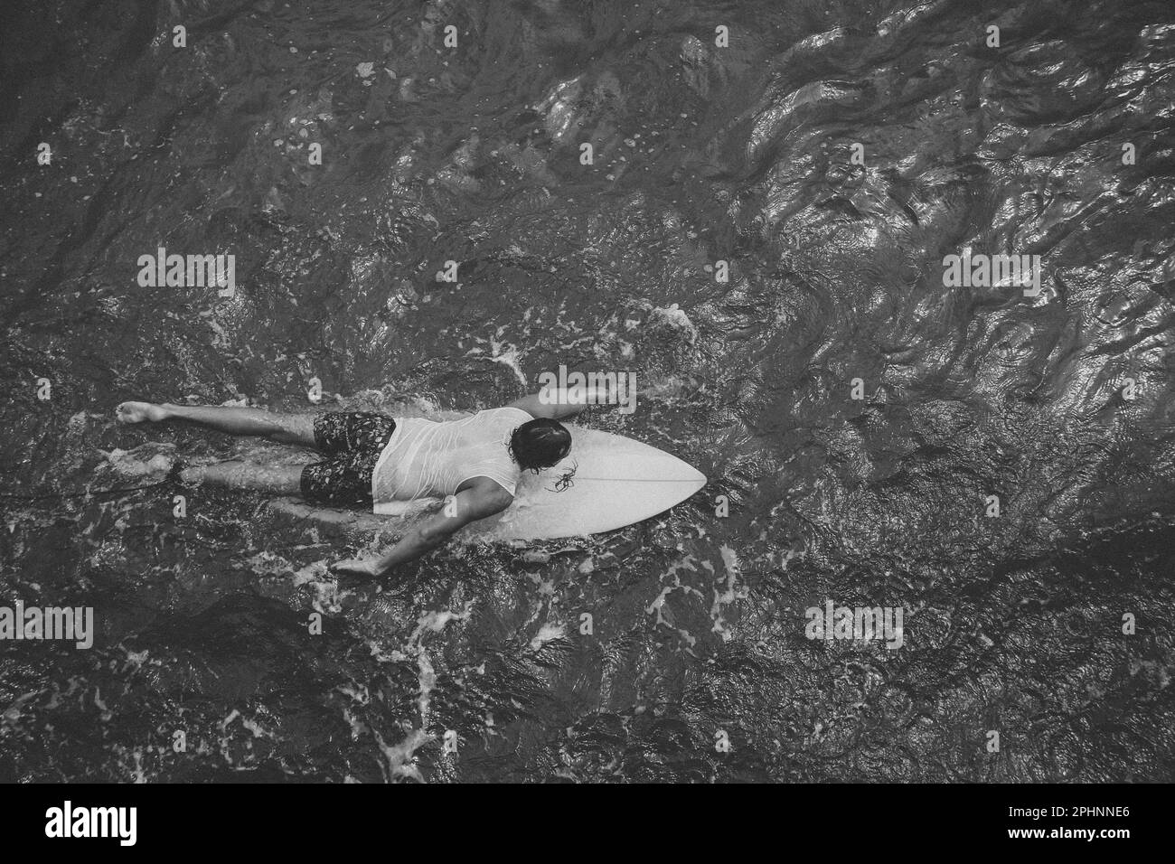 Birds Eye View Surfer Stock Photo